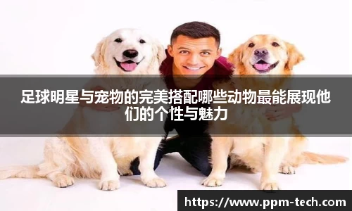 足球明星与宠物的完美搭配哪些动物最能展现他们的个性与魅力